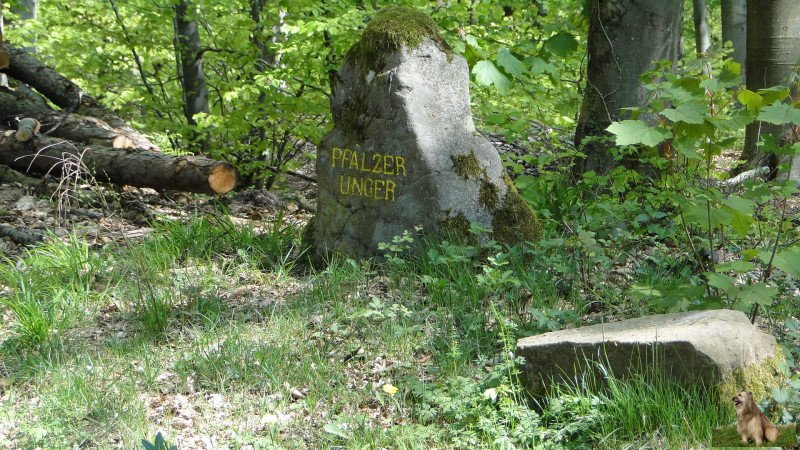 Ritterstein Nr. 019-5b Pfälzer Unger.JPG - Ritterstein Nr.19 Pfälzer Unger